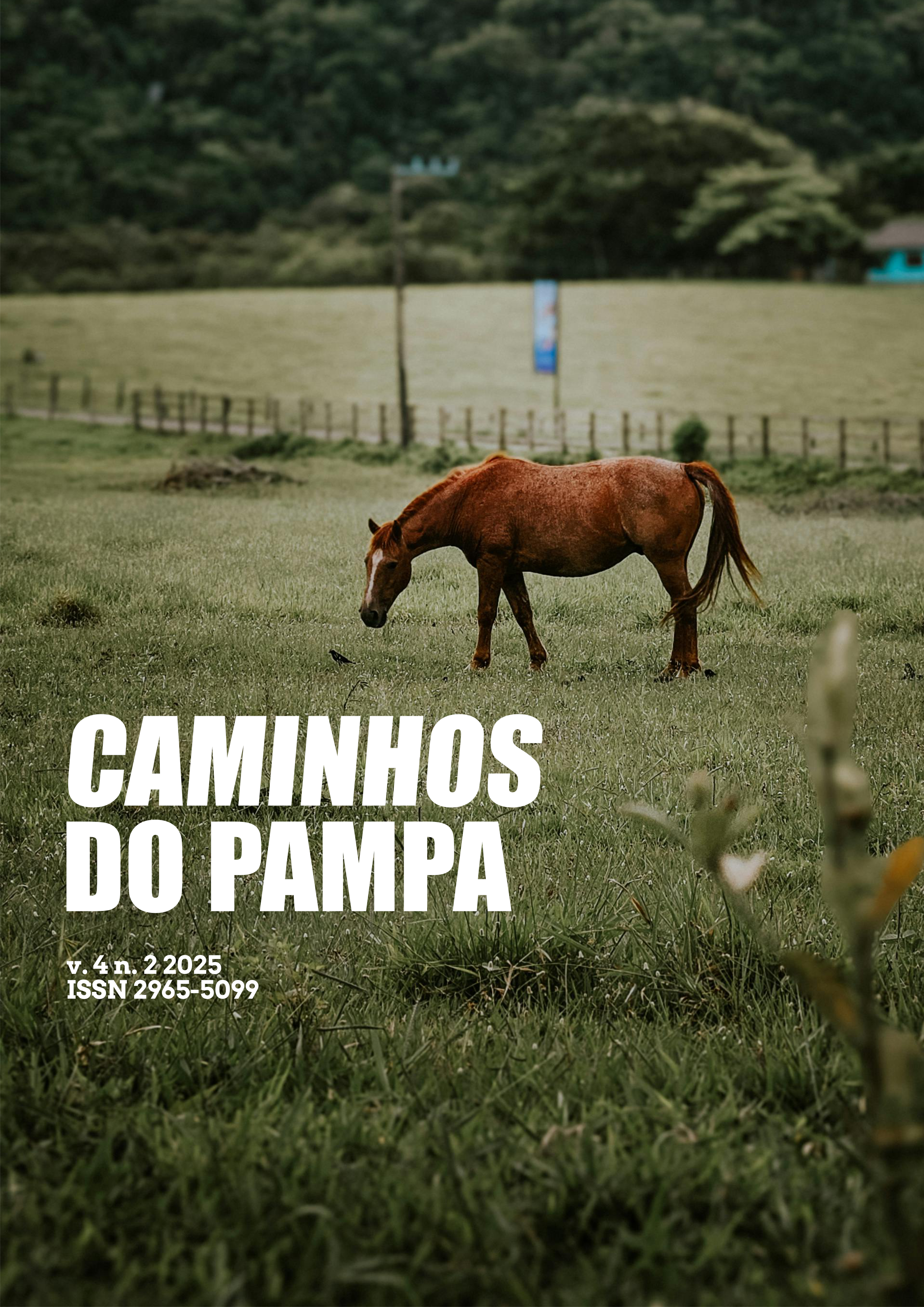 					Visualizar v. 4 n. 2 (2025): REVISTA CAMINHOS DO PAMPA
				